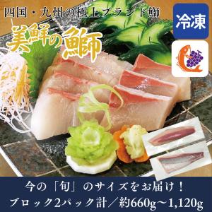 板藍茶 ばんらんちゃ 120 包 賞味期限2026年5月 送料無料 健康