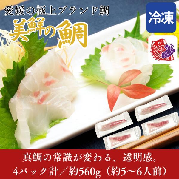 たい 美鮮の鯛 560g(4パック計) 鮮魚 冷凍 刺身 真鯛 マダイ 海鮮 しゃぶしゃぶ 鯛しゃぶ...