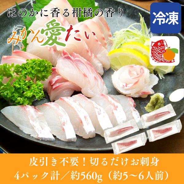 たい 鯛 560g(4パック計) みかん愛たい 鮮魚 冷凍 刺身 真鯛 マダイ 海鮮 しゃぶしゃぶ ...