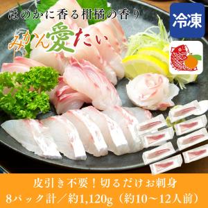 父の日 早割 たい 鯛 1,120g(8パック計) みかん愛たい ...