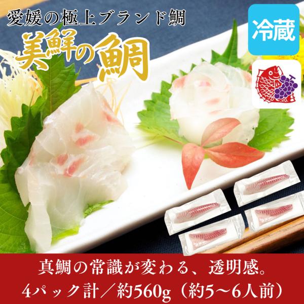 たい 美鮮の鯛 560g(4パック計) 鮮魚 冷蔵 刺身 真鯛 マダイ 海鮮 しゃぶしゃぶ 鯛しゃぶ...