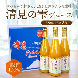 愛媛県産 みかんジュース はるか 希少柑橘 720ml×1 果汁100