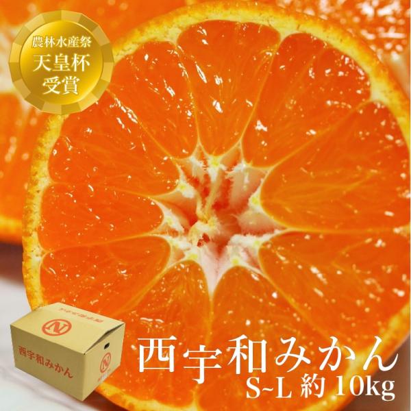 みかん 西宇和 愛媛 温州みかん 優品 約10kg S~Lサイズ 送料無料(北海道・沖縄を除く) 愛...