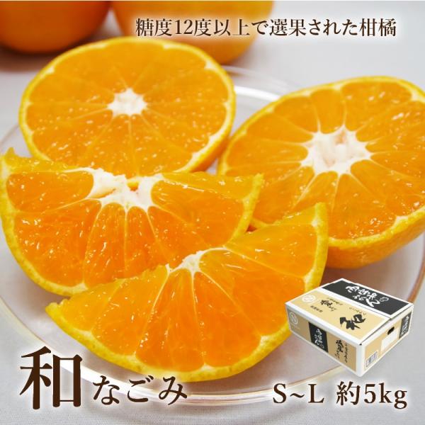 みかん 愛媛 みなの共選 和(なごみ)みかん 約5kg 約40~60玉 S~Lサイズ 愛媛県産 温州...