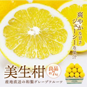 みかん 産地直送 美生柑 河内晩柑 みしょうかん 良品 約7kg 16~22玉前後 送料別途 愛媛県産 和製 グレープフルーツ ミカン かわちばんかん｜えひめ逸品 ヤフー店