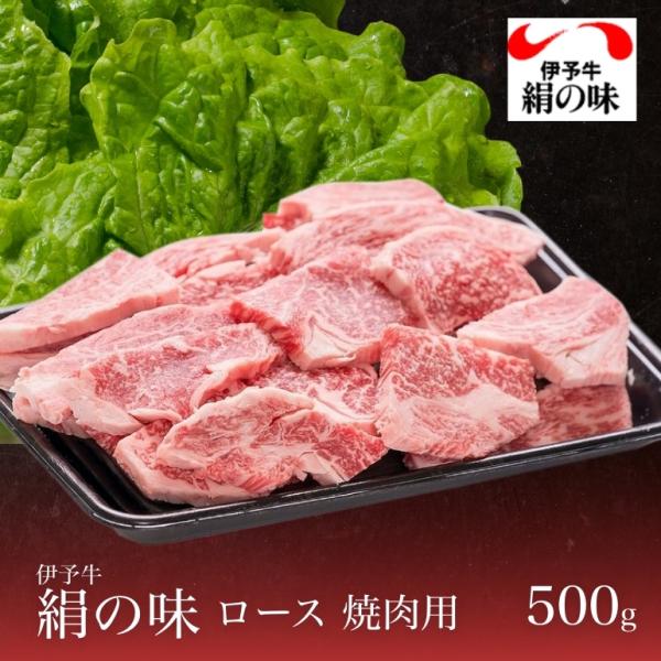 牛肉 伊予牛 絹の味 A4 黒毛和牛 和牛 ロース 焼肉用 500g 送料無料 (北海道・沖縄を除く...