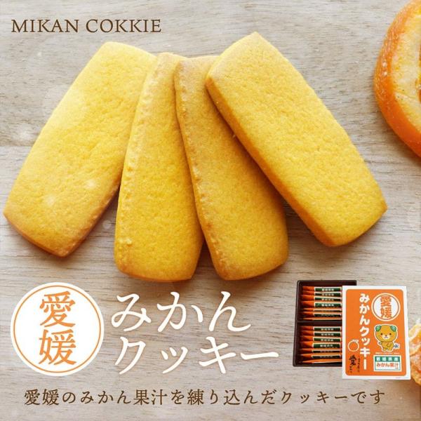 クッキー みかんクッキー 送料別途 愛媛県産 みかん果汁使用 スイーツ 取り寄せ 贈答 贈答品 ギフ...