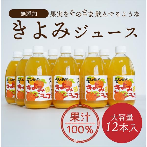 ジュース きよみストレートジュース 500ml×12本セット 送料別途 愛媛県産 ストレート 清見 ...