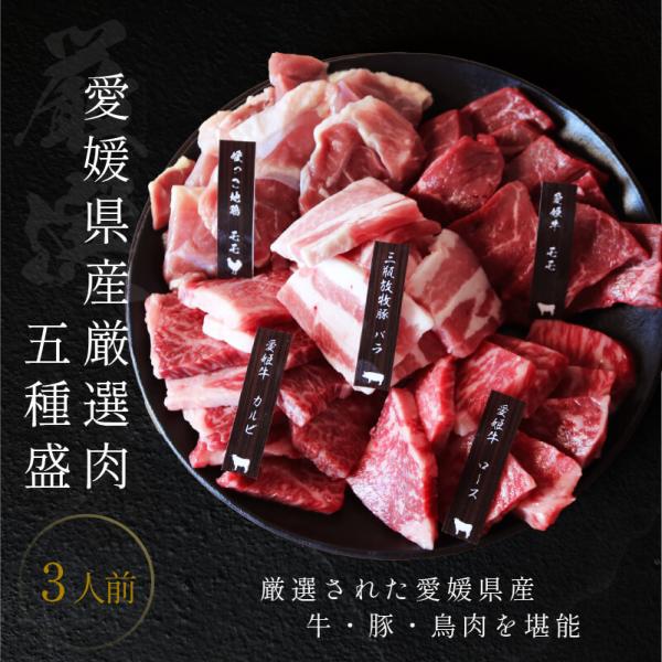 焼肉 愛媛 焼肉セット 3人前 送料無料 (北海道・沖縄を除く) ギフト 愛姫牛 和牛 三瓶放牧豚 ...