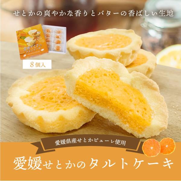 タルト ケーキ 愛媛せとかのタルトケーキ 8個入り 送料別途 愛媛県産 取り寄せ ギフト