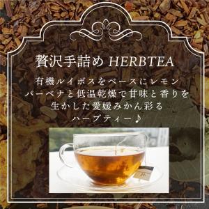 ハーブティー ティーバッグ 愛媛みかんのルイボ...の詳細画像1