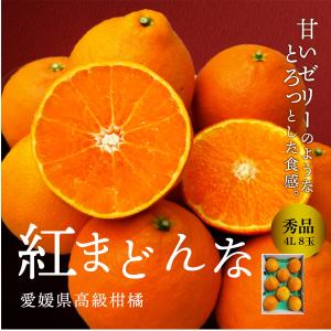 予約商品 紅まどんな 秀品 4L 約3kg 8玉 送料無料 高級柑橘 愛媛県産 みかん 産地直送 贈答 贈答品 ギフト プレゼント ミカン ギフト グルメ