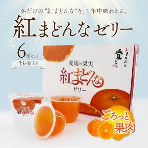 JAえひめ中央 紅プリンセスの飲むゼリー 150gX24本入り : fresh