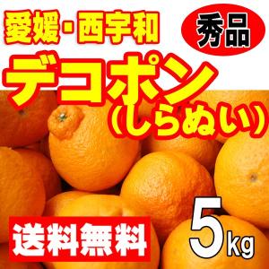 愛媛 西宇和産 デコポン しらぬい 秀品 贈答用 ギフト ５ｋｇ 2Lサイズ Lサイズ 送料無料