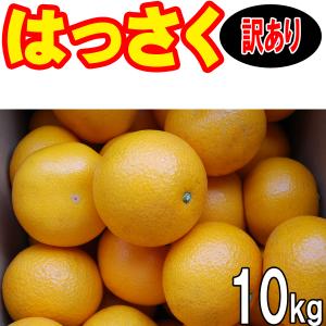 愛媛産　八朔（はっさく）　訳あり家庭用　１０ｋｇ　送料無料産地直送