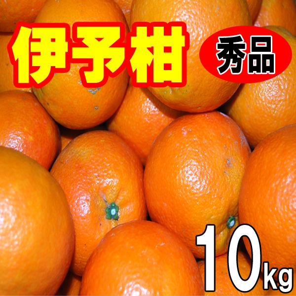 愛媛 西宇和産 伊予柑 秀品 ギフト 贈答用 10kg 2Lサイズ Lサイズ 送料無料