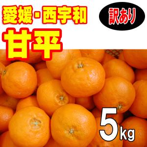 愛媛 西宇和産 甘平 秀品 ギフト 贈答用 5kg Lサイズ 2Lサイズ 3L