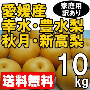 幸水梨・豊水梨・秋月梨・新高梨　訳あり家庭用　１０ｋｇ　送料無料　産地直送