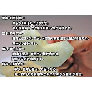 幸水梨・豊水梨・秋月梨・新高梨 訳あり家庭用 ...の詳細画像1