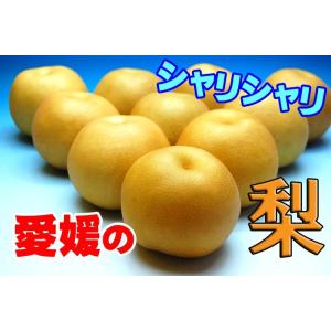 幸水梨・豊水梨・秋月梨・新高梨 訳あり家庭用 ...の詳細画像3