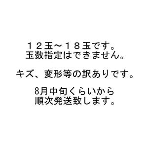 幸水梨・豊水梨・秋月梨・新高梨 訳あり家庭用 ...の詳細画像4