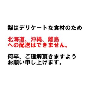 幸水梨・豊水梨・秋月梨・新高梨 訳あり家庭用 ...の詳細画像5