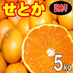 愛媛 西宇和産 せとか 訳あり 家庭用 5kg 送料無料