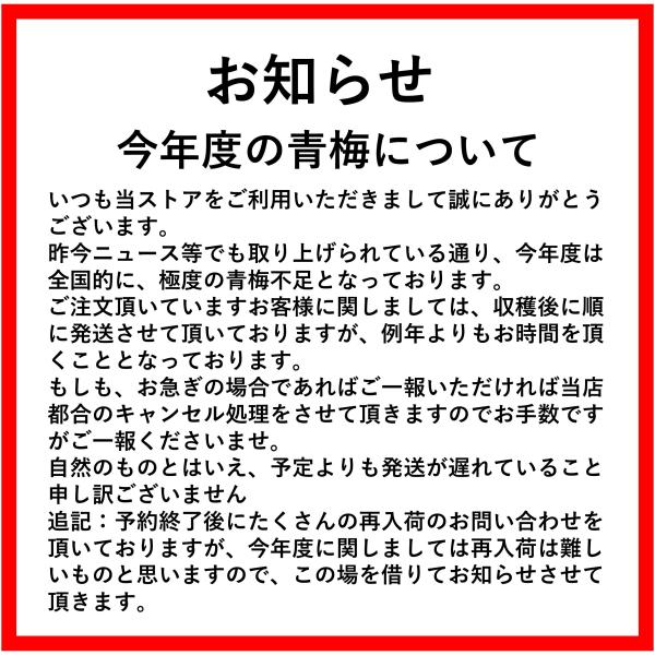 愛媛県西予市産「青梅」栽培期間中農薬不使用・無農薬 10kg