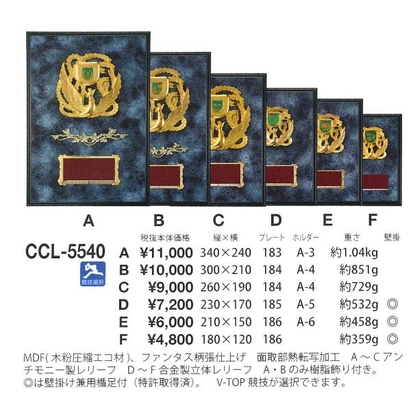 競技別 楯 2　CCL-5540 Dサイズ