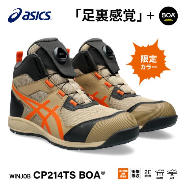 [新作 限定カラー] アシックス 安全靴 ウィンジョブ CP214 TS BOA ウッドグレープ×ハ...