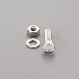 エスコ M10x 30mm強力六角ボルト(SUS/ナットワッシャ付全ネジ EA949DV-1005 ESCO