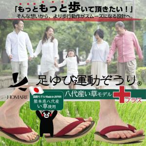 足ゆび運動ぞうり 八代産い草モデル +プラス ...の詳細画像1