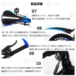子供用自転車 変速機能付き シート高さ調節可能...の詳細画像3