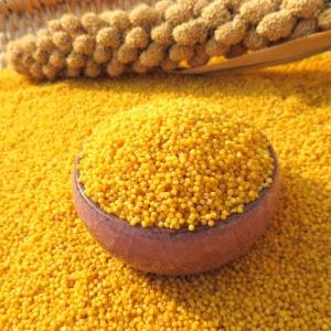 あわ 黄小米 粟 400g×3