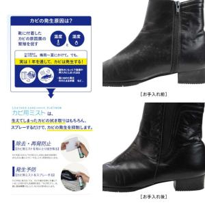 コロンブス / レザーキュア カビ用ミスト プ...の詳細画像1