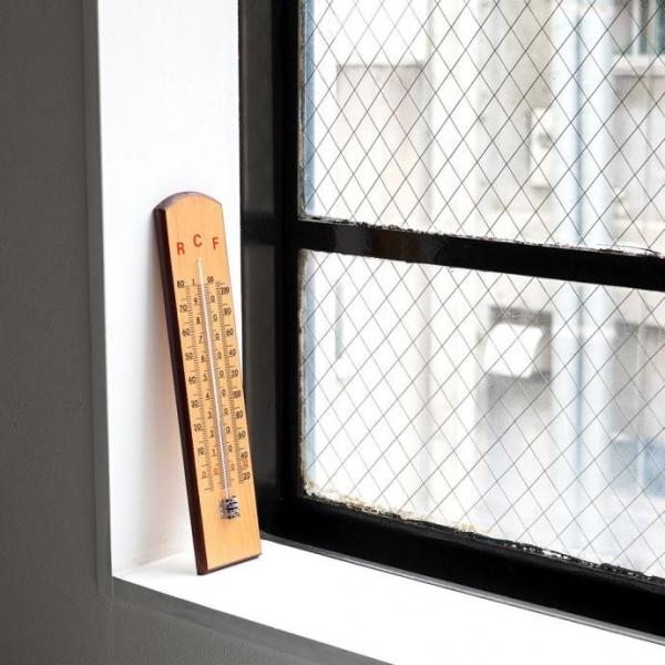 TFA Dostmann / Analogue School Thermometer 12.1007...