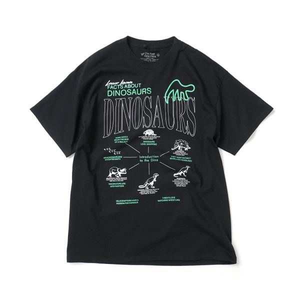 Factual Graphics / Facts About Dinosaurs ファクチュアル グ...