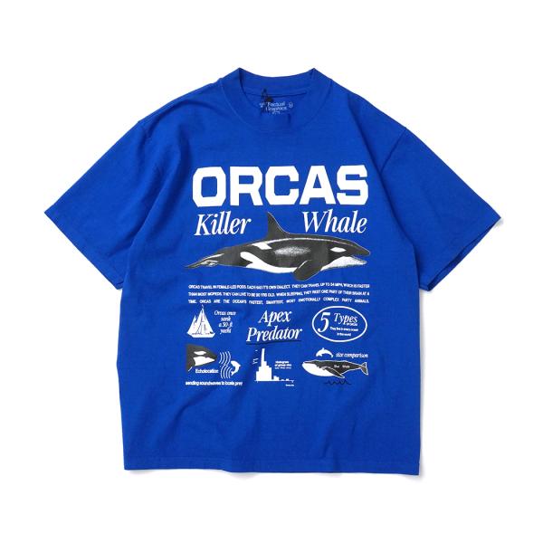 Factual Graphics / Orca Facts T-Shirt ファクチュアル グラフィ...