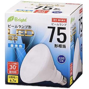 Panasonic（パナソニック） LDR11N-W/HB15A/2K LED電球 ハイビーム電球