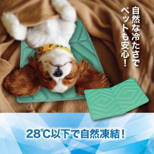 【送料無料】ひんやりし〜と 枕 冷却マット ア...の詳細画像4