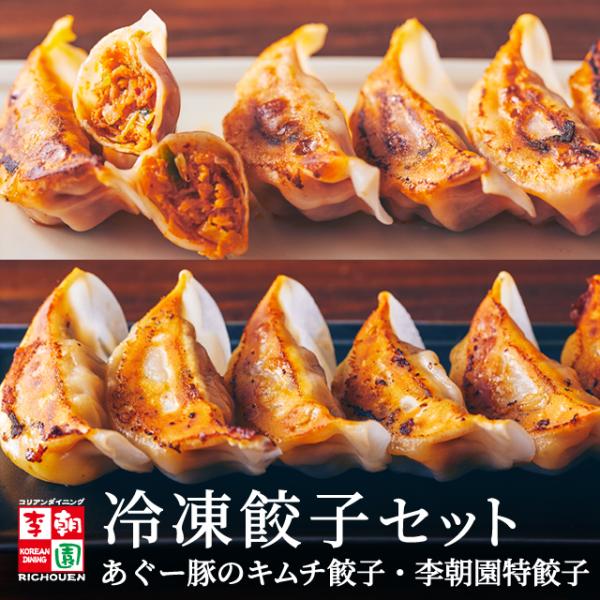 お取り寄せグルメ 餃子 冷凍餃子 国産 取り寄せ 冷凍食品 餃子マンドゥ 食べ比べ お試しセット 餃...