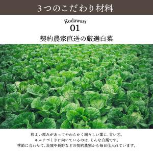 ほたるいか魚醤入り 白菜キムチ カット 国産 ...の詳細画像3