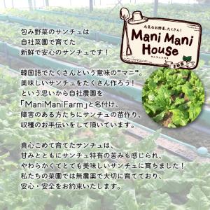 サムギョプサルセット 800g チュクミ 韓国...の詳細画像5