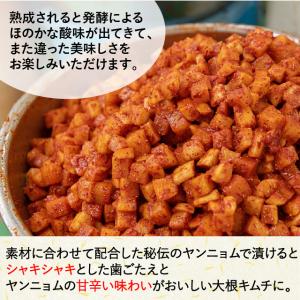 カクテキ 大根キムチ 500g キムチ 韓国食...の詳細画像2