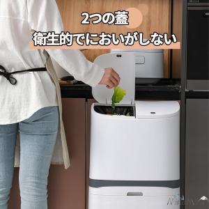 ゴミ箱 おしゃれ 分別ごみ箱 分別2段 縦型 ...の詳細画像2