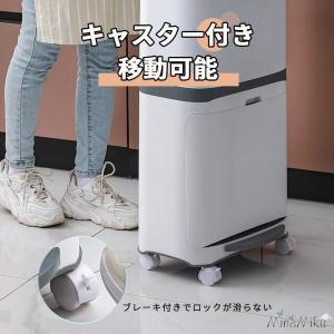 ゴミ箱 おしゃれ 分別ごみ箱 分別2段 縦型 ...の詳細画像4