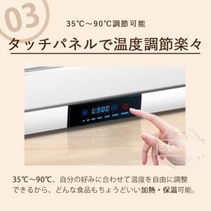 ビュッフェサーバー ビュッフェ ウォーマー 保...の詳細画像3