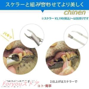 愛犬?愛猫用 歯石取り ペンチ 犬 歯石 デン...の詳細画像3