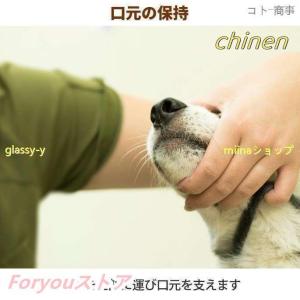 愛犬?愛猫用 歯石取り ペンチ 犬 歯石 デン...の詳細画像5