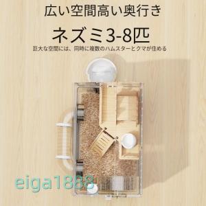 ハムスターケージ 大サイズ 透明アクリル製 サ...の詳細画像2